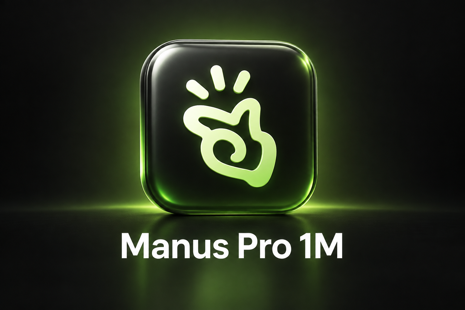 Manus Pro 1M