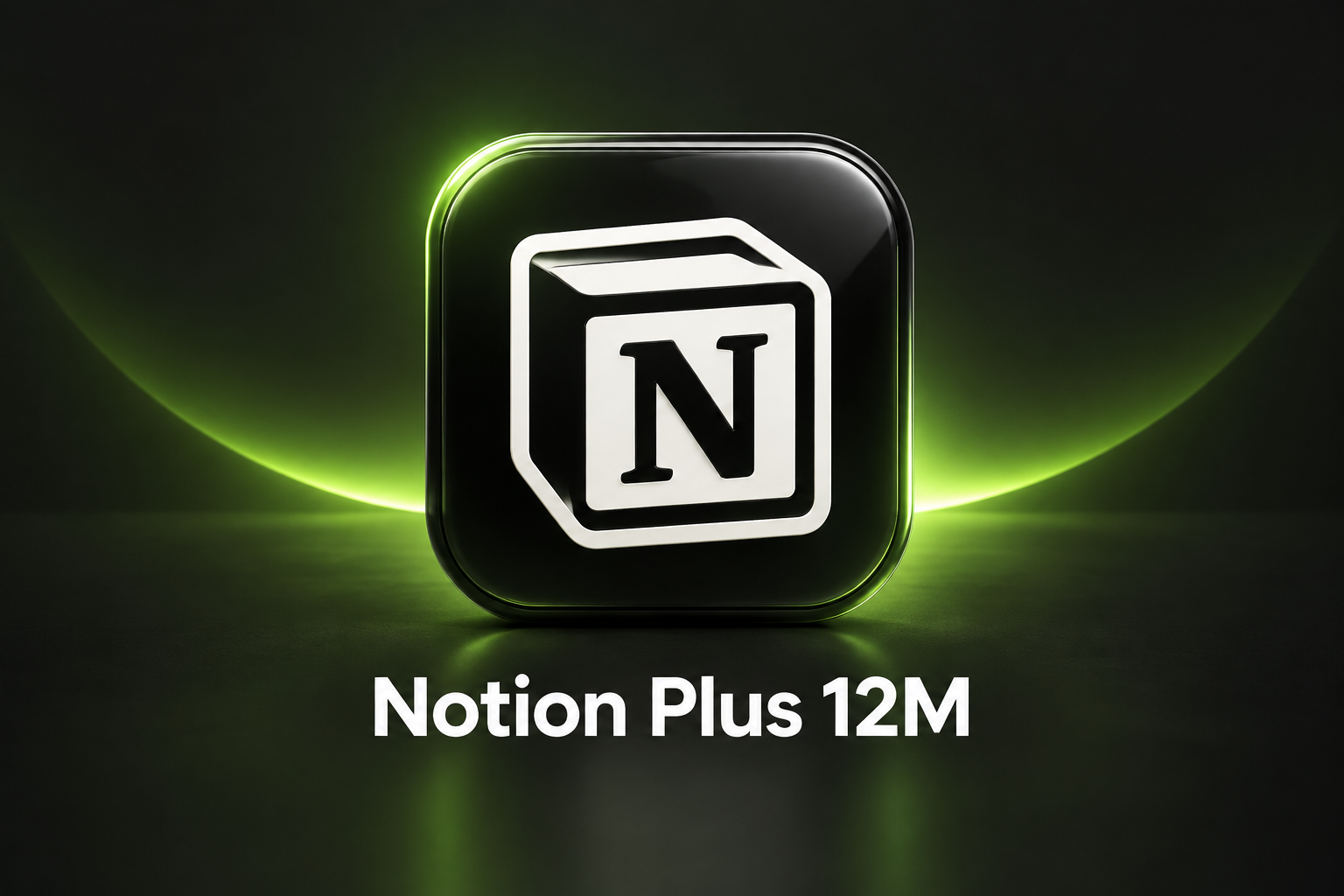 Notion Plus 12M